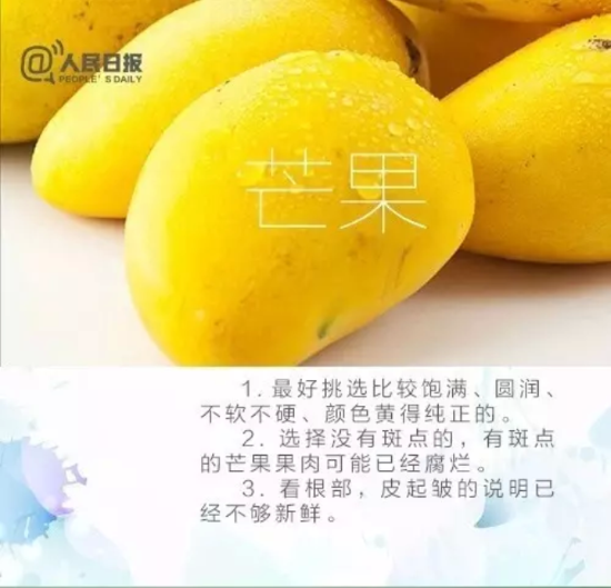 賣了幾十年水果的老農教你挑芒果